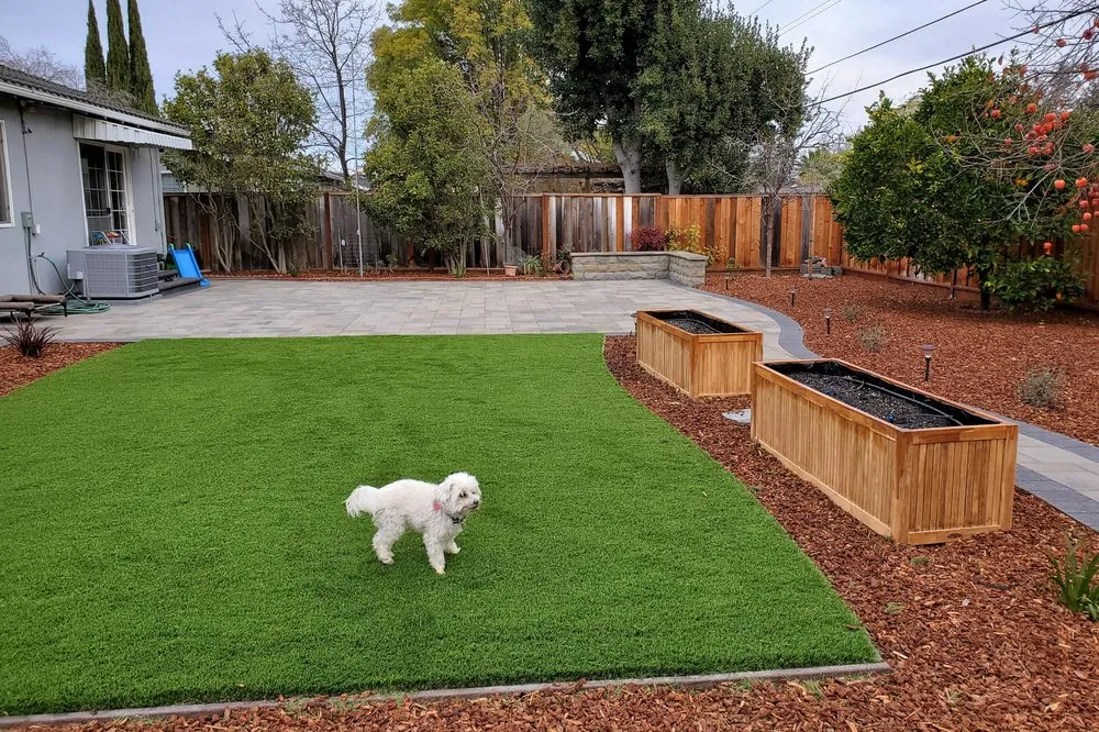 Reliable yard cleanup service near you across San Ramon, CA - Black Diamond Paver Stones & Landscape