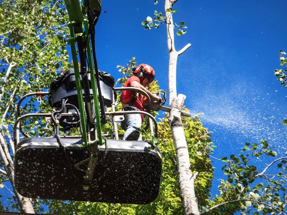 Affordable garden landscaping for beautiful yards across Wilmington, VT - Black Diamond Tree Service