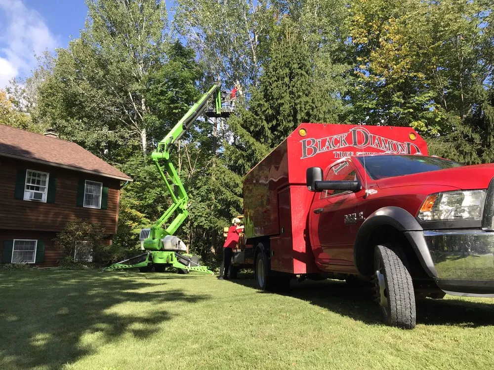 Local residential landscaping for year-round maintenance across Wilmington, VT - Black Diamond Tree Service