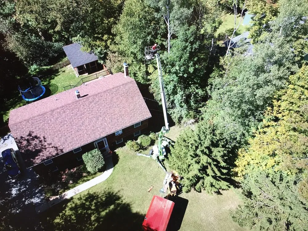 Reliable yard maintenance in Wilmington, VT - Black Diamond Tree Service