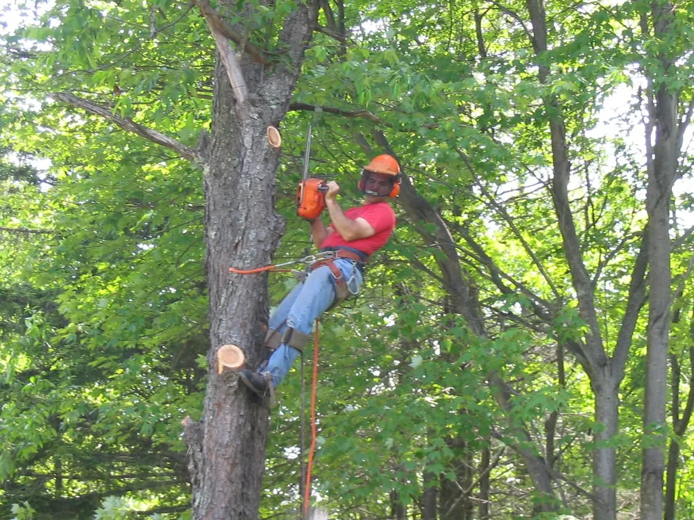 Expert garden landscaping for homes across Wilmington, VT - Black Diamond Tree Service