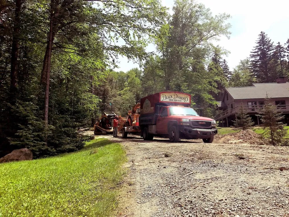 Trusted outdoor landscaping in Wilmington, VT - Black Diamond Tree Service