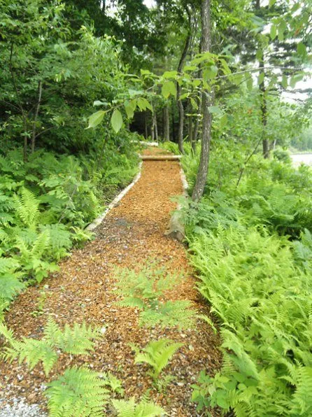 Affordable yard cleanup service in Wilmington, VT - Black Diamond Tree Service