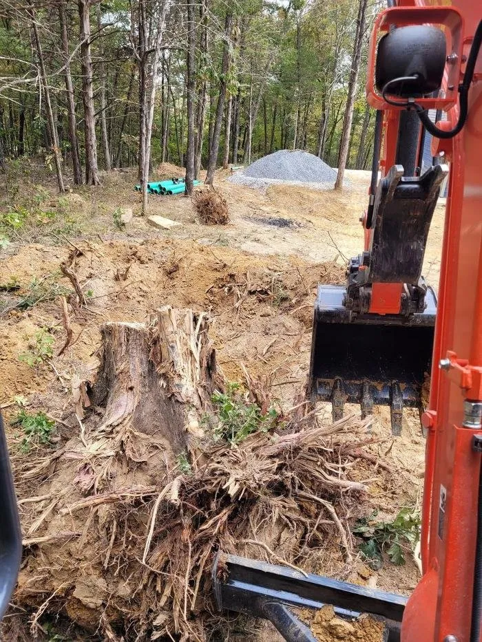 Professional landscape design for residential properties across Springdale, AR - Black Dog Dirt Works