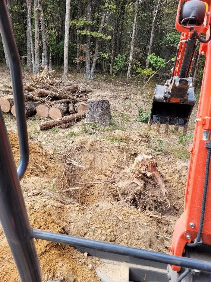 Expert yard cleanup service with custom design in Springdale, AR by Black Dog Dirt Works