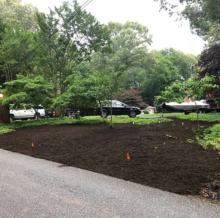 Trusted yard cleanup service experts serving Lynchburg, VA - Black Dog Landscapes