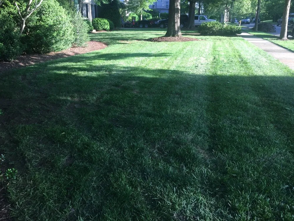 Local landscaping services in Lynchburg, VA - Black Dog Landscapes