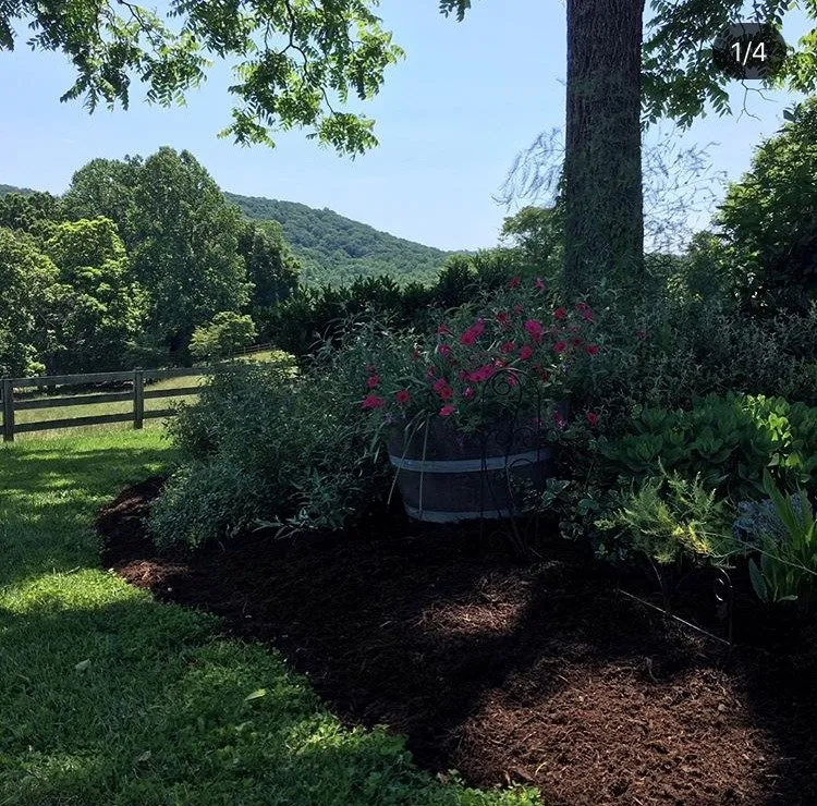 Reliable landscaping services for beautiful yards across Lynchburg, VA - Black Dog Landscapes