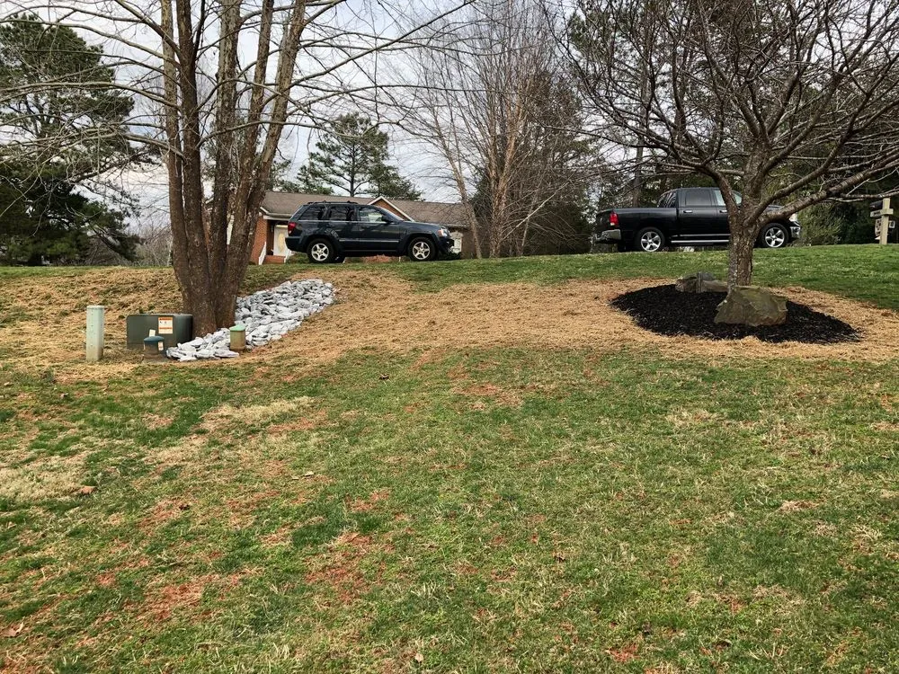 Expert garden landscaping for year-round maintenance across Lynchburg, VA - Black Dog Landscapes