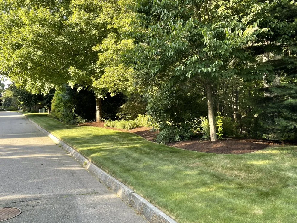 Expert yard maintenance in Medway, MA by Black Dog Landscapes