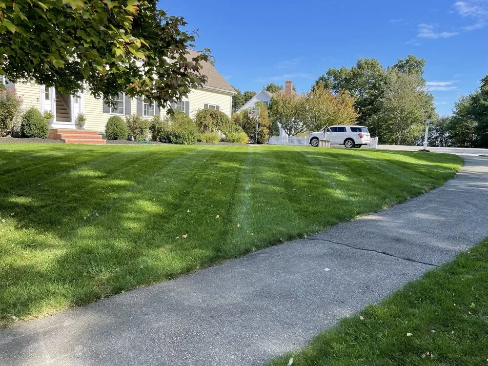 Local yard maintenance experts serving Medway, MA - Black Dog Landscapes