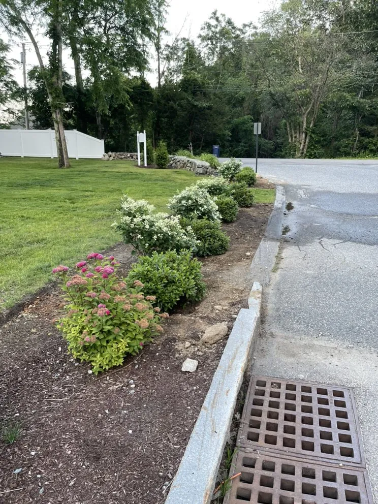 Local residential landscaping in Medway, MA by Black Dog Landscapes