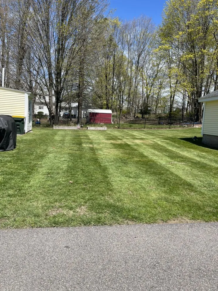 Top-rated lawn mowing service for outdoor upgrades in Medway, MA by Black Dog Landscapes