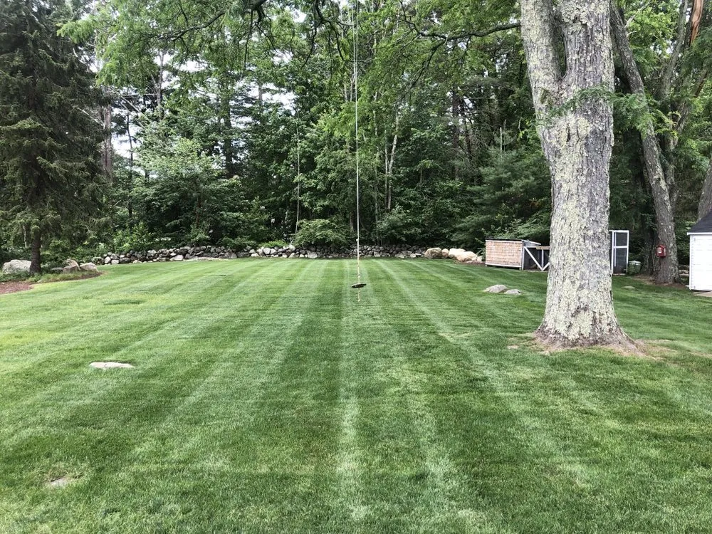 Local yard cleanup service with custom design across Medway, MA - Black Dog Landscapes