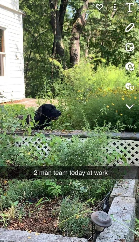 Affordable landscape design experts serving Wentworth, NH - Black Dog Landscaping
