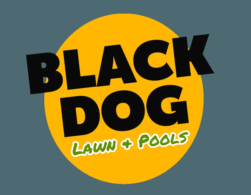 Top-rated yard cleanup service in Melbourne, FL by Black Dog Lawn & Pools