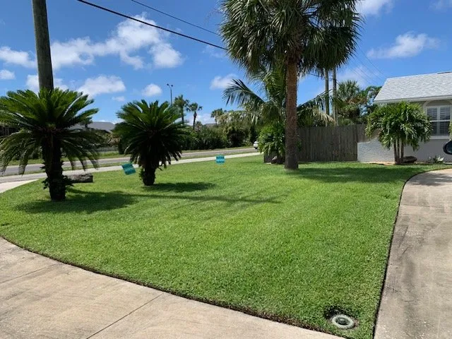 Custom yard maintenance with custom design in Melbourne, FL by Black Dog Lawn & Pools