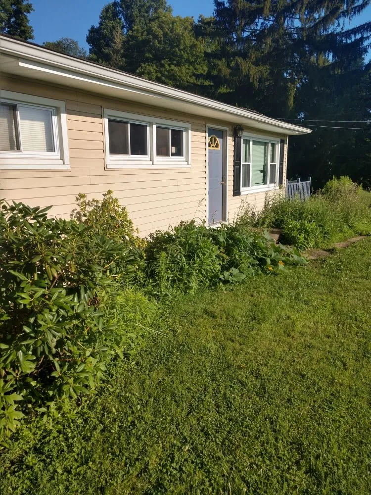 Local lawn mowing service for residential properties in Mansfield, OH by Black Dog Property Management