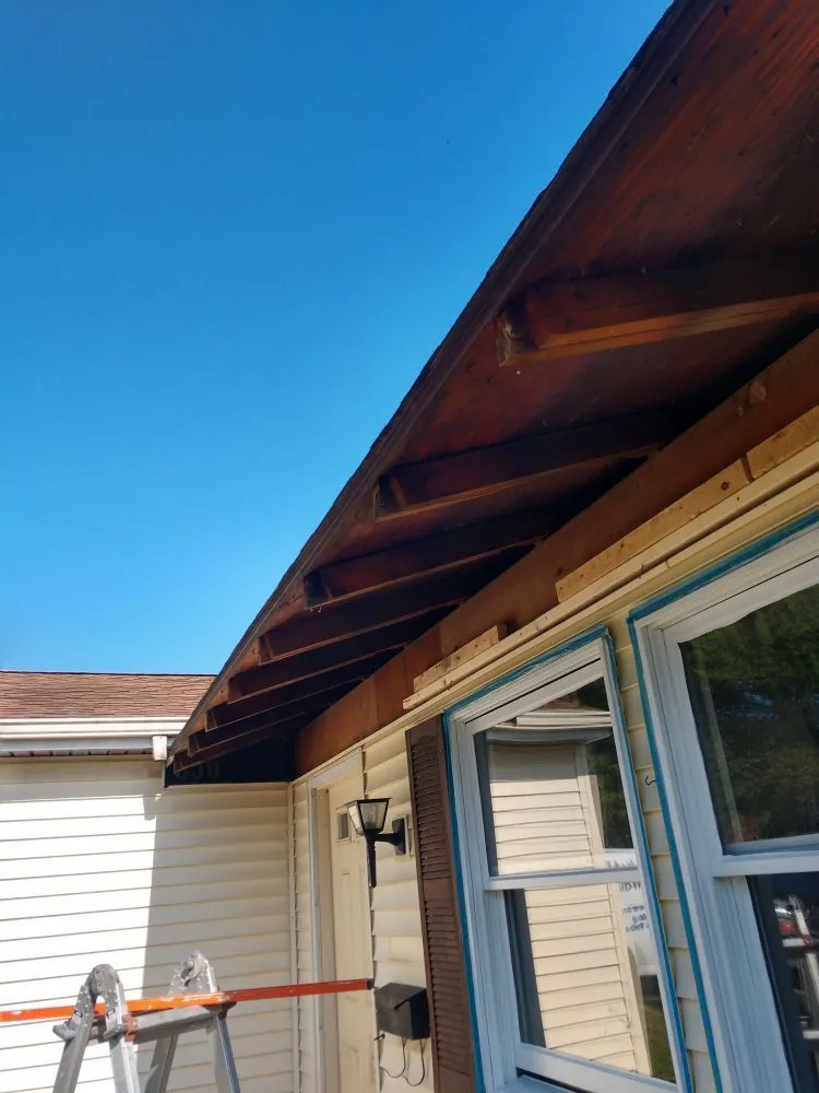 Expert yard maintenance for residential properties across Mansfield, OH - Black Dog Property Management