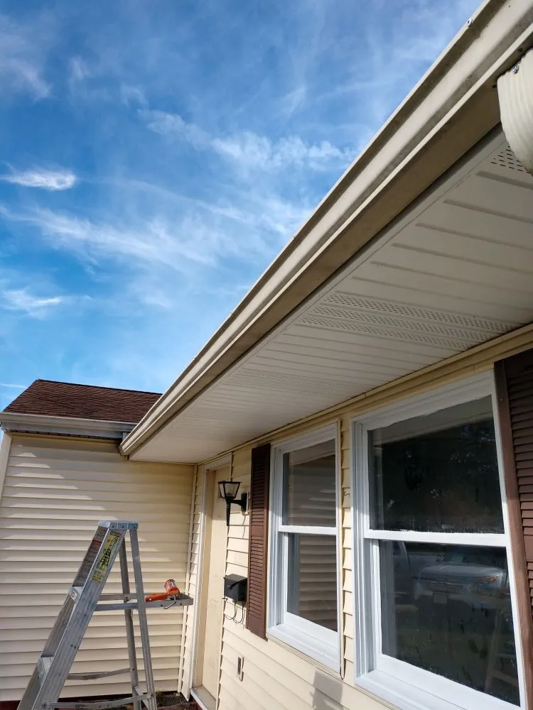 Local landscaping services experts serving Mansfield, OH - Black Dog Property Management