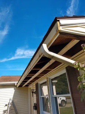 Black Dog Property Management Logo