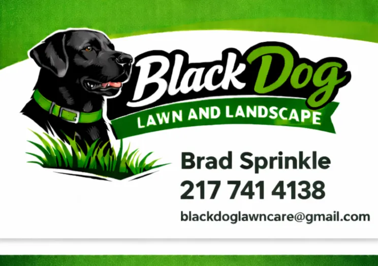 Trusted lawn care service experts serving Springfield, IL - Black Dog