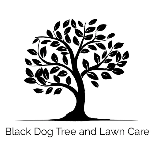 Affordable landscape design in Asheville, NC - Black Dog Tree And Lawn Care