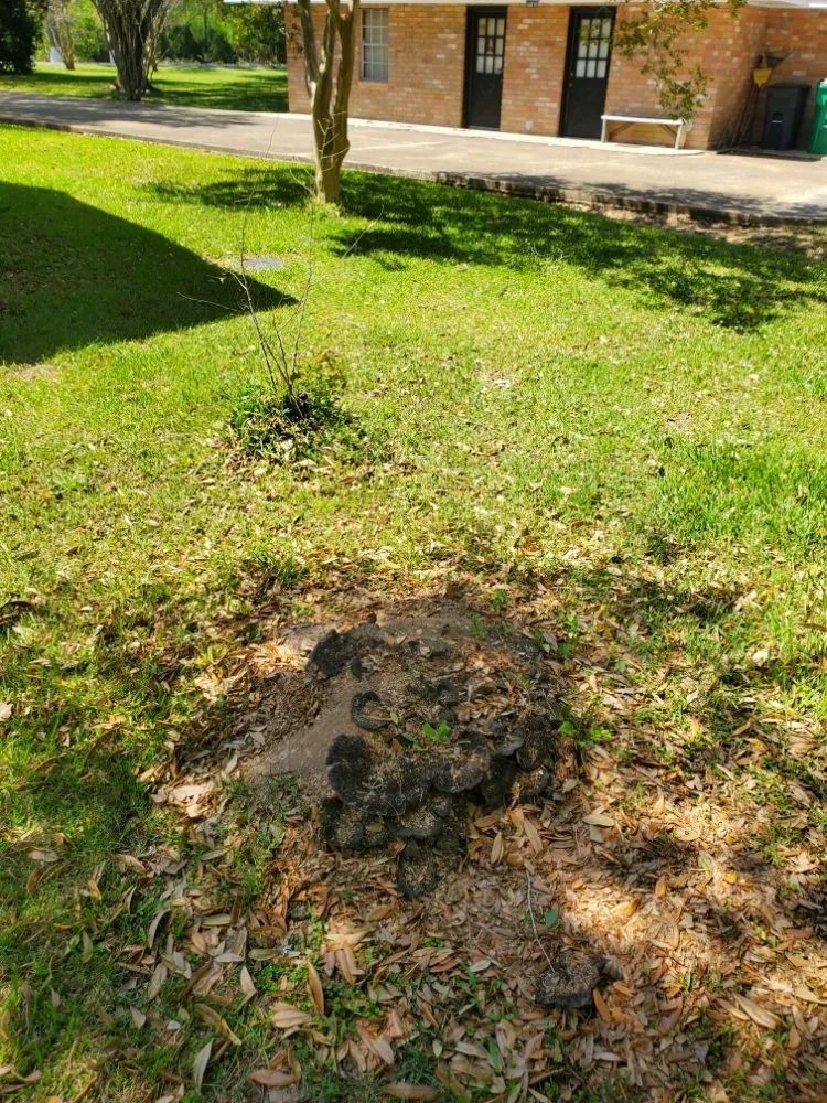 Expert landscaping services experts serving Port Barre, LA - Black Flag Bayou Construction