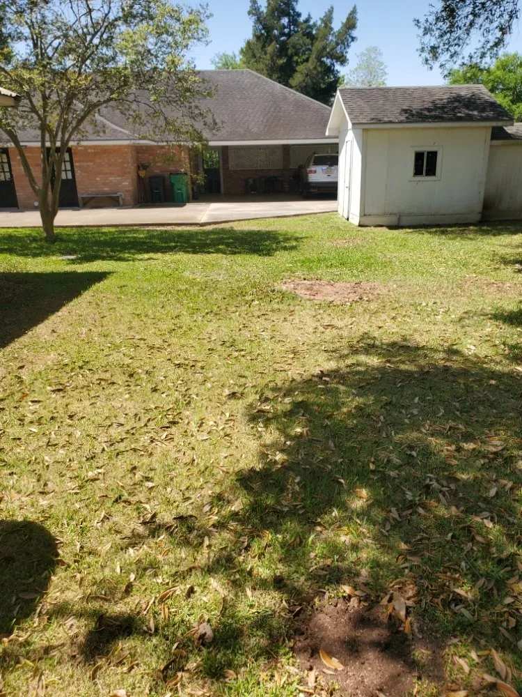 Trusted lawn care service in Port Barre, LA by Black Flag Bayou Construction