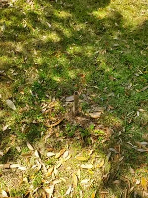 Black Flag Bayou Construction