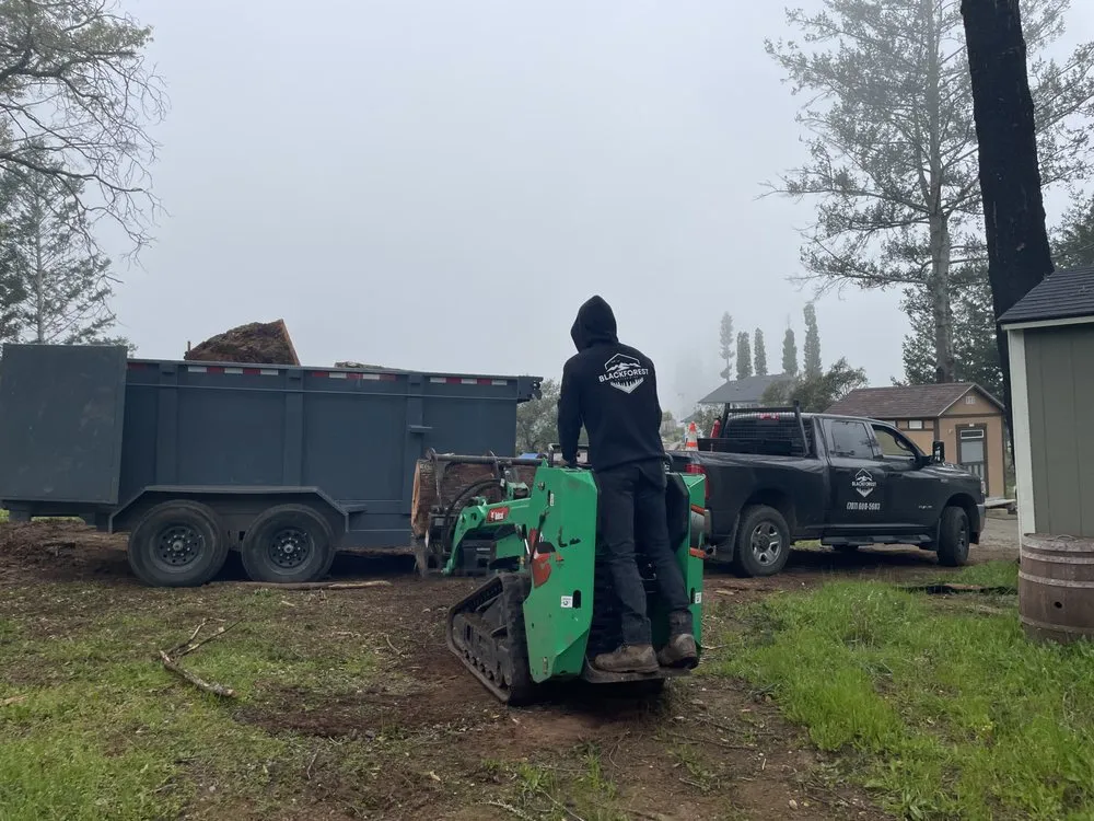 Expert landscape design for year-round maintenance in Healdsburg, CA by Black Forest Enterprise