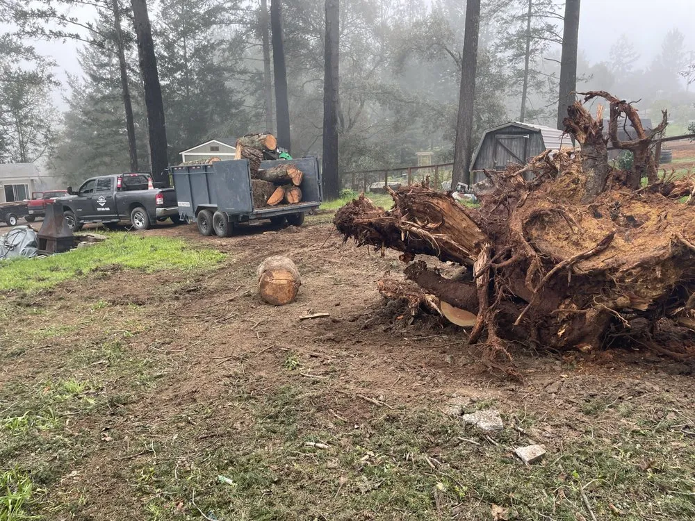 Professional landscape design near you in Healdsburg, CA by Black Forest Enterprise