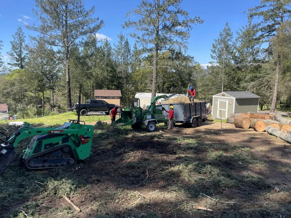 Custom landscape installation in Healdsburg, CA by Black Forest Enterprise