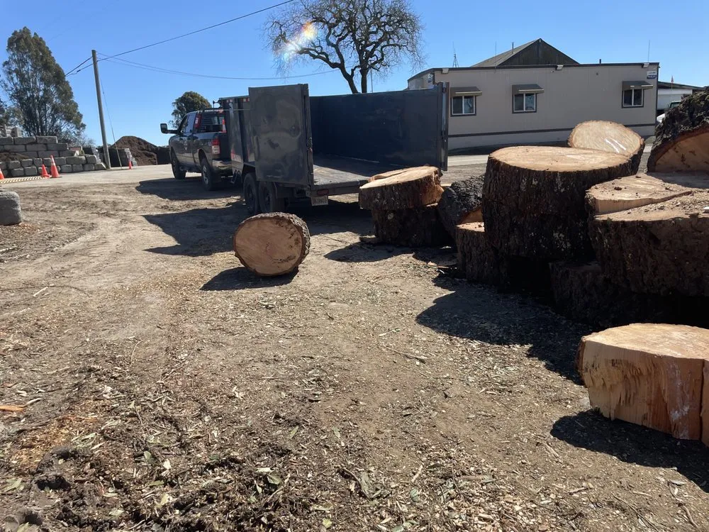 Affordable outdoor landscaping experts serving Healdsburg, CA - Black Forest Enterprise