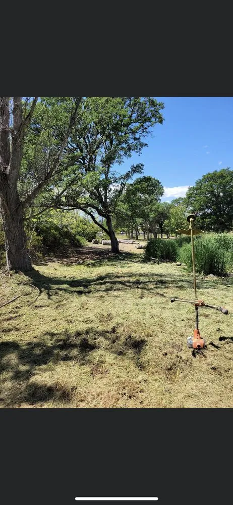 Trusted residential landscaping for outdoor upgrades across Healdsburg, CA - Black Forest Enterprise