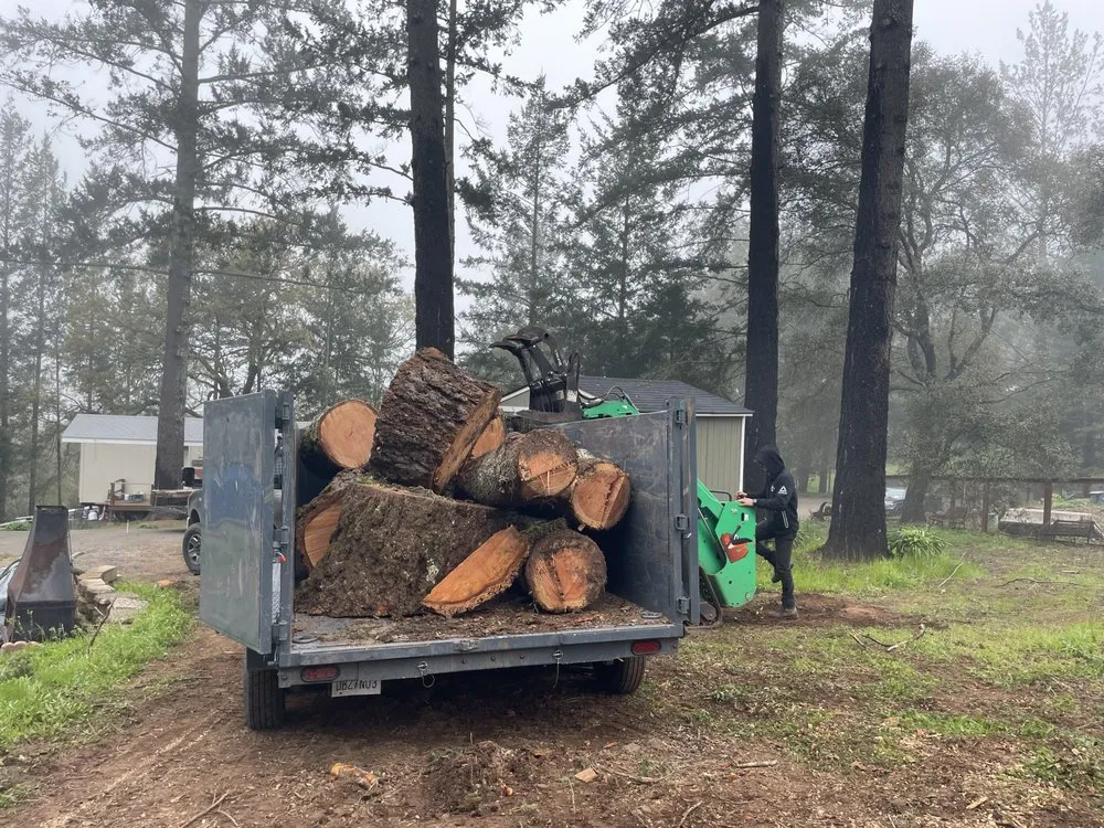 Reliable residential landscaping in Healdsburg, CA - Black Forest Enterprise