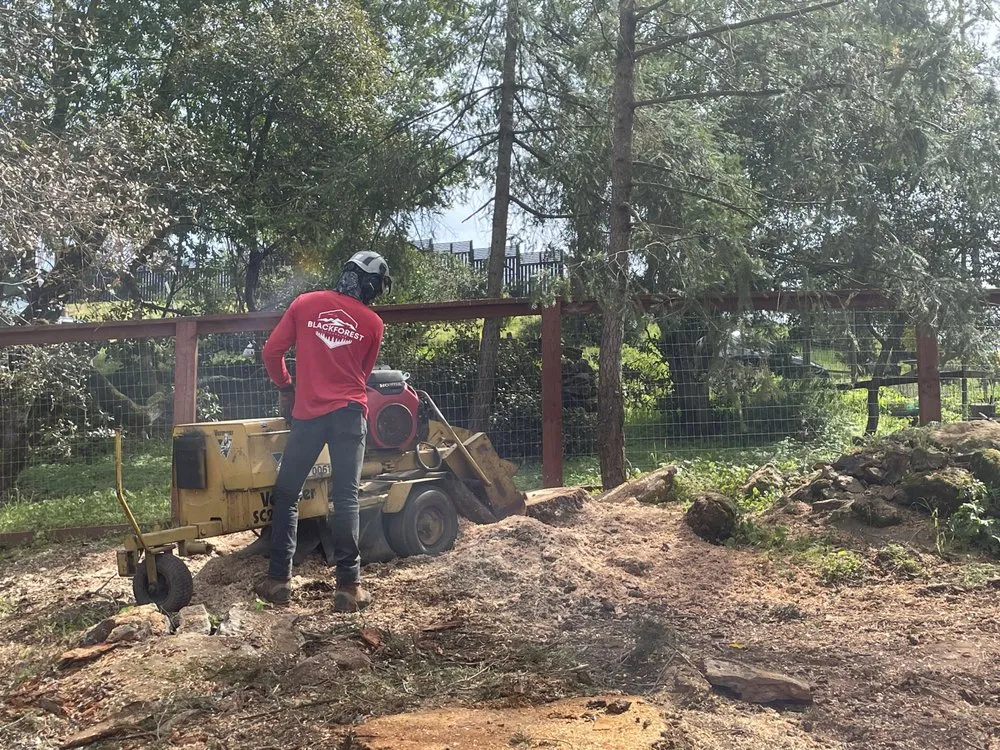 Local yard maintenance for outdoor upgrades across Healdsburg, CA - Black Forest Enterprise