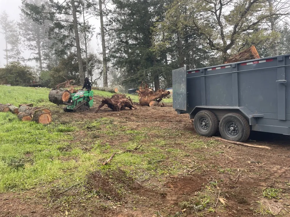 Local garden landscaping in Healdsburg, CA - Black Forest Enterprise