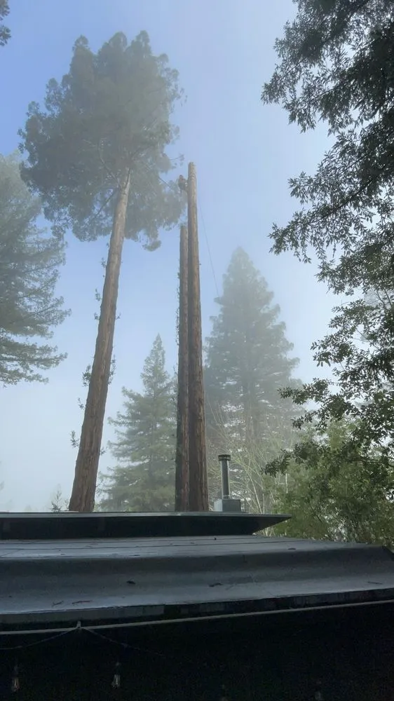 Professional landscape installation in Healdsburg, CA by Black Forest Enterprise