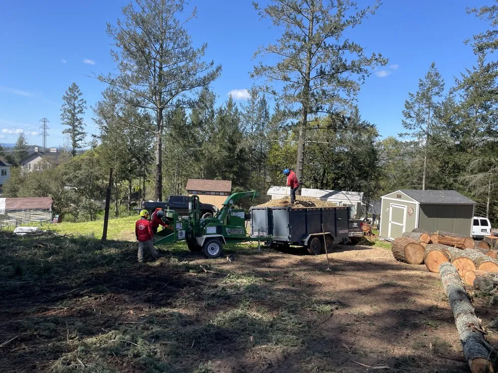 Top-rated landscape design for homes across Healdsburg, CA - Black Forest Enterprise