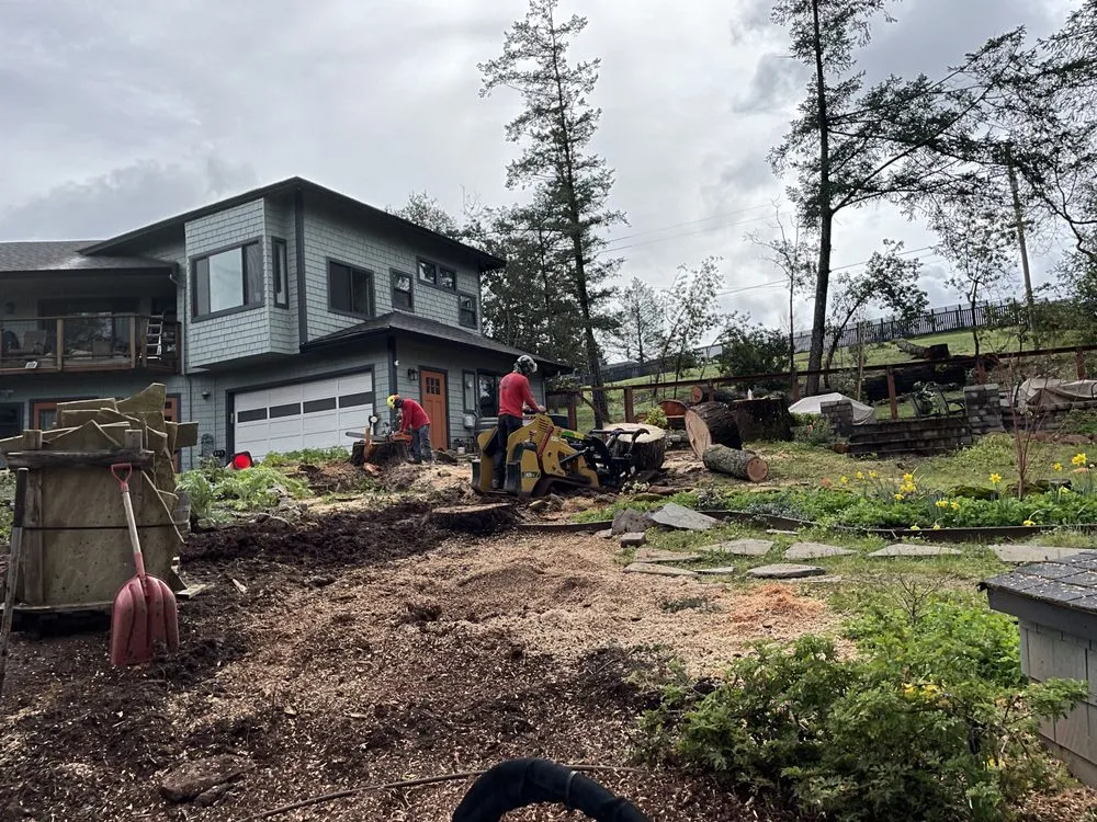 Top-rated garden landscaping in Healdsburg, CA by Black Forest Enterprise