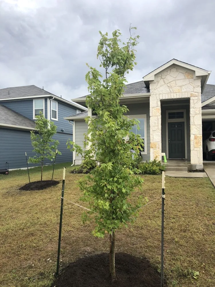 Trusted residential landscaping experts serving Austin, TX - Black Fox Outdoor Services