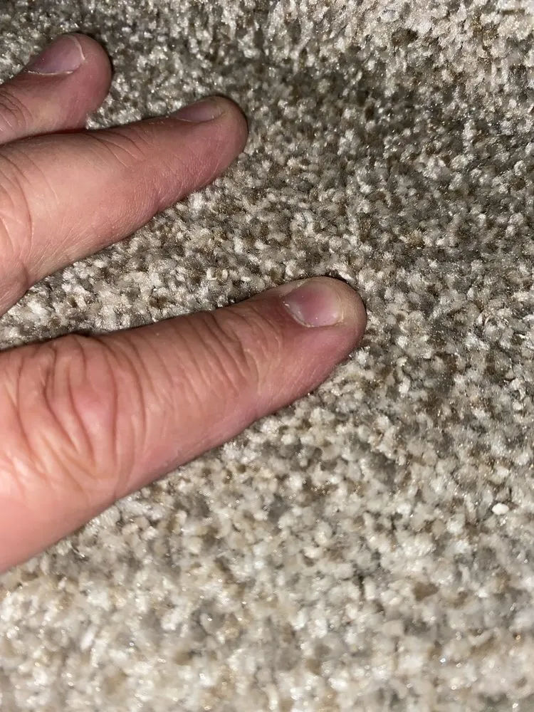 Local landscaping services in Kansas City, MO by Black Hickory Construction