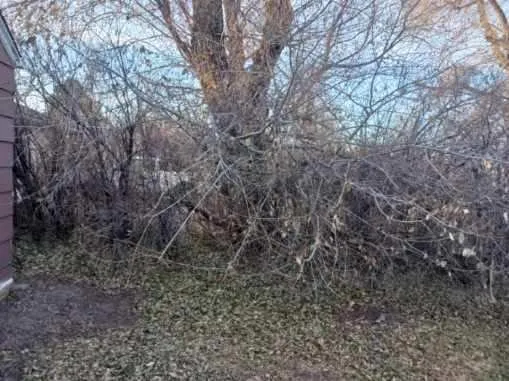 Reliable outdoor landscaping experts serving Rapid City, SD - Black Hills Outdoor Solutions