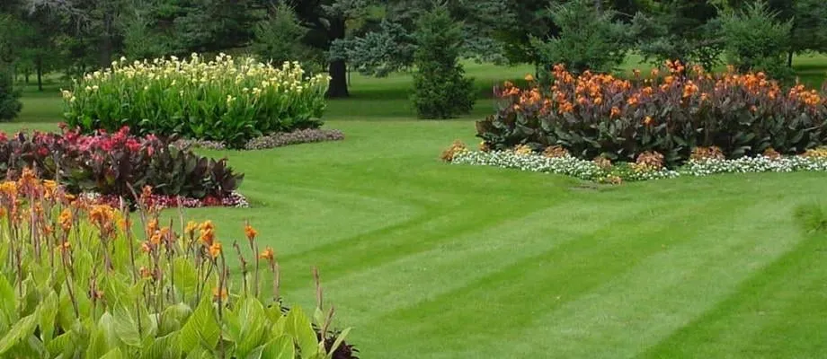 Reliable outdoor landscaping in Rapid City, SD by Black Hills Property Preservation