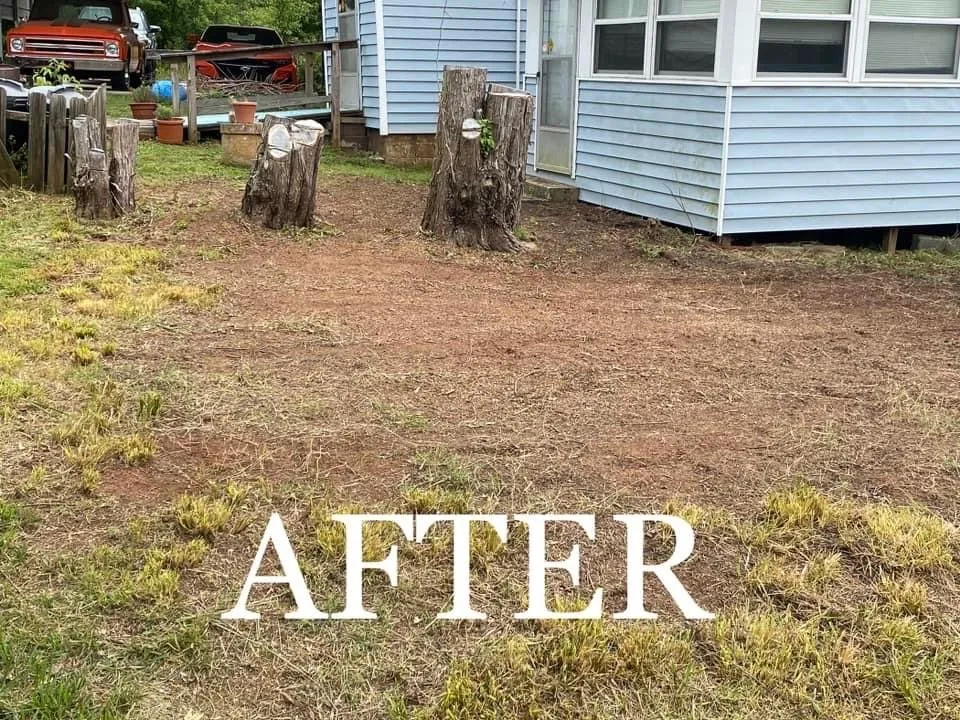 Top-rated lawn care service in Cherryville, NC - Black Hound Junk Removal