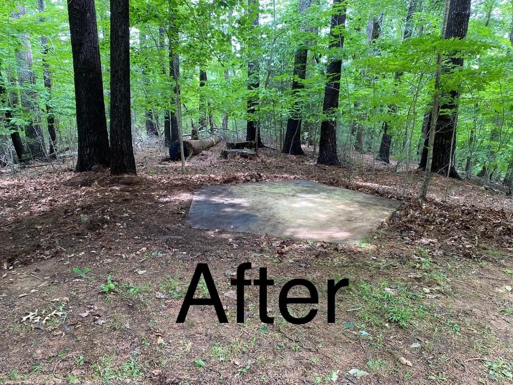 Affordable yard cleanup service for residential properties across Cherryville, NC - Black Hound Junk Removal
