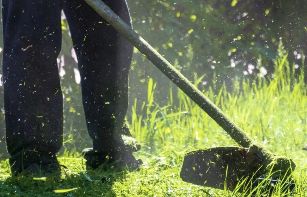 Trusted landscape installation in Temple, TX by Black Jack Lawn