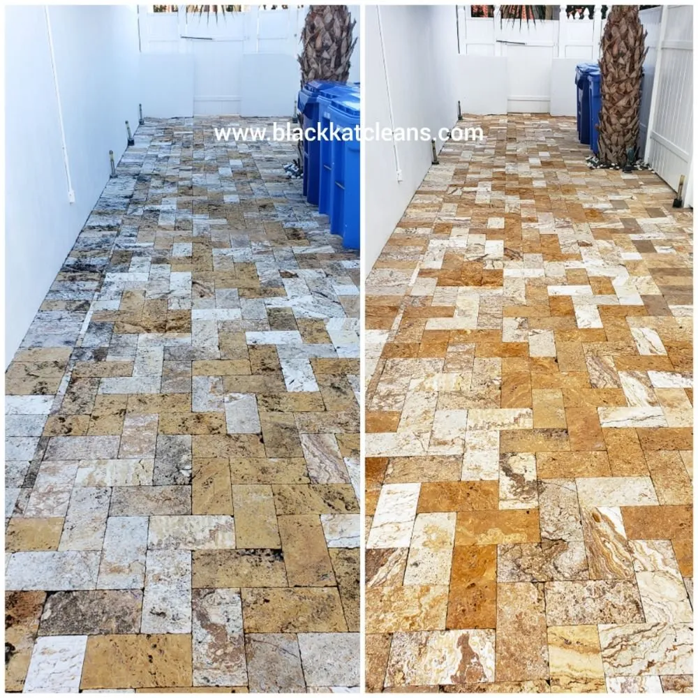 Trusted yard maintenance experts serving Aventura, FL - Black Kat Pressure Washing and Lawn