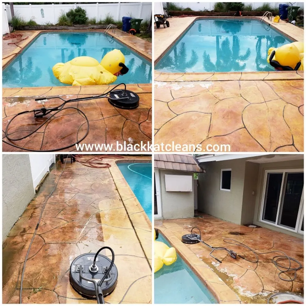 Professional landscape design in Aventura, FL by Black Kat Pressure Washing and Lawn